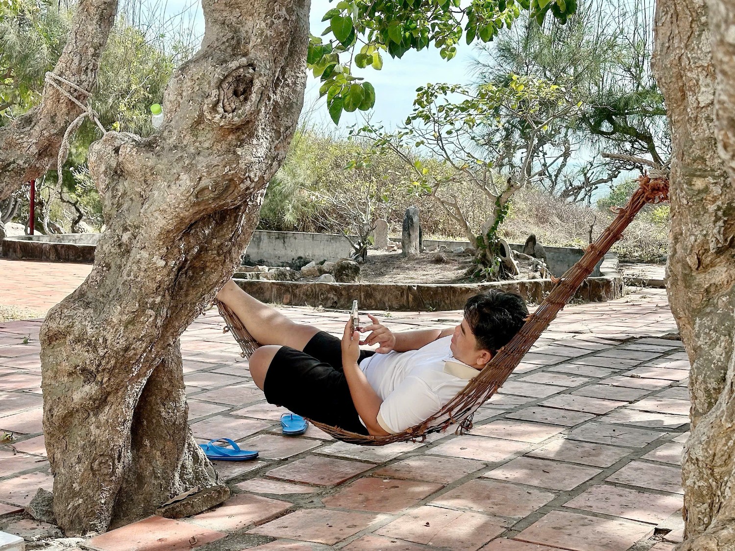 Dã ngoại 8/3/2035