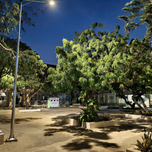 TRƯỜNG THCS NGUYỄN ĐÌNH CHIỂU LẮP ĐẶT HỆ THỐNG CHIẾU SÁNG BẰNG NĂNG LƯỢNG MẶT TRỜI